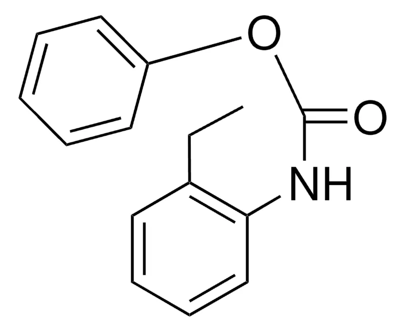 Sigma-Aldrich PHENYL N-(2-ETHYLPHENYL)CARBAMATE,AldrichCPR