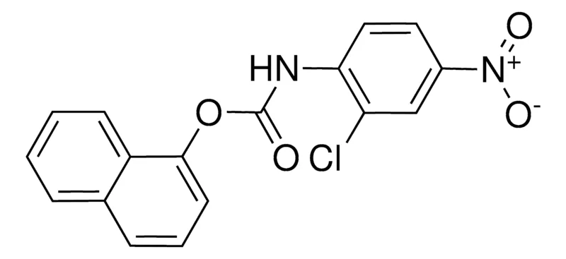 Sigma-Aldrich 1-NAPHTHYL N-(2-CHLORO-4-NITROPHENYL)CARBAMATE,AldrichCPR