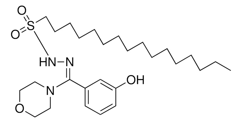 Sigma-Aldrich 1-HEXADECANESULFONIC ACID (M-HYDROXY-ALPHA-MORPHOLINOBENZYLIDENE)-HYDRAZIDE,AldrichCPR