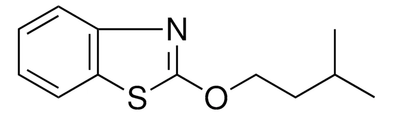 Sigma-Aldrich 2-(3-METHYL-BUTOXY)-BENZOTHIAZOLE，AldrichCPR