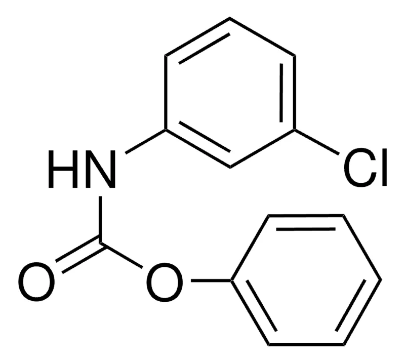 Sigma-Aldrich PHENYL N-(3-CHLOROPHENYL)CARBAMATE,AldrichCPR