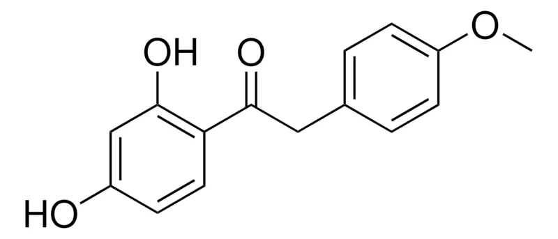 Sigma-Aldrich 1-(2,4-DIHYDROXYPHENYL)-2-(4-METHOXYPHENYL)ETHANONE,AldrichCPR