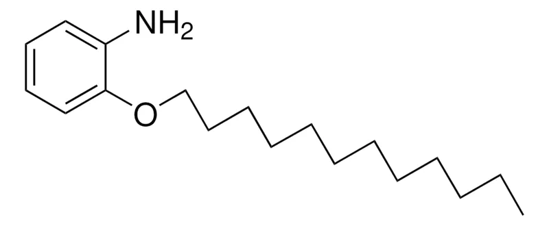 Sigma-Aldrich 2-(DODECYLOXY)ANILINE，AldrichCPR