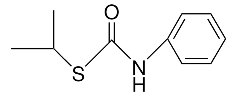 Sigma-Aldrich S-ISOPROPYL N-PHENYLTHIOLCARBAMATE,AldrichCPR