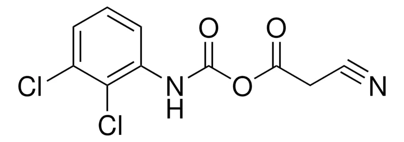 Sigma-Aldrich 2-CYANOACETYL N-(2,3-DICHLOROPHENYL)CARBAMATE,AldrichCPR