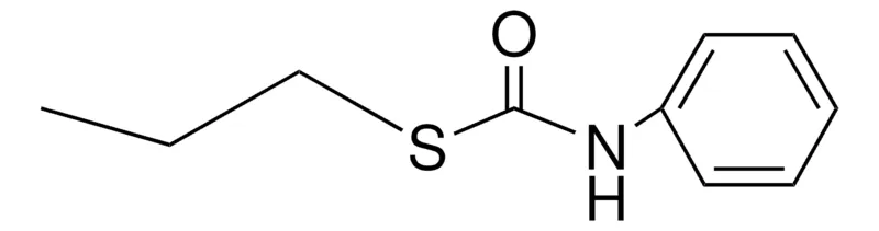 Sigma-Aldrich S-PROPYL N-PHENYLTHIOLCARBAMATE，AldrichCPR