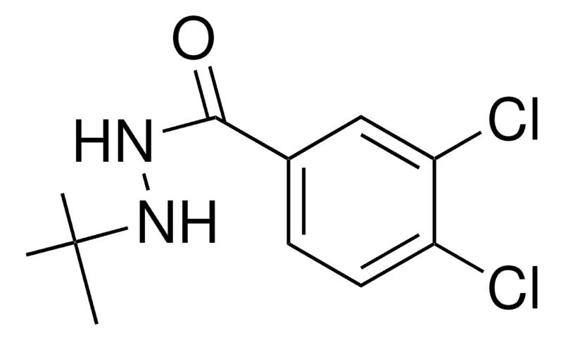 Sigma-Aldrich 3,4-DICHLOROBENZOIC ACID TERT-BUTYLHYDRAZIDE,AldrichCPR