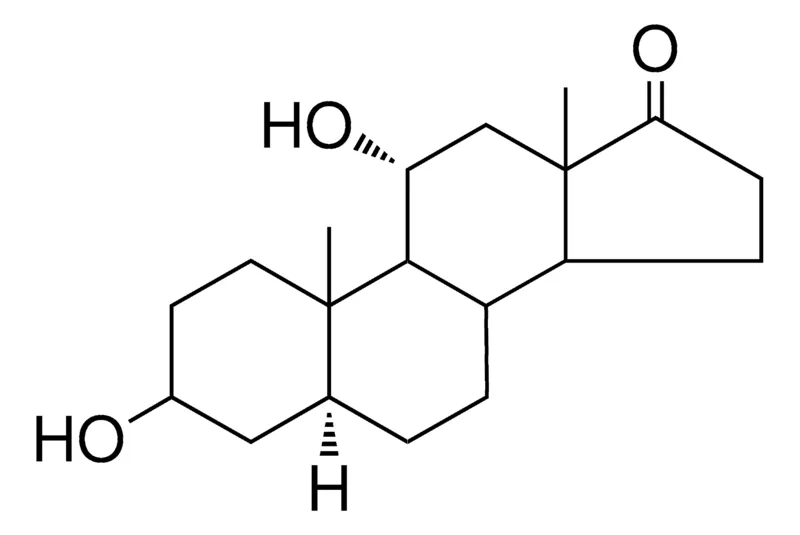 Sigma-Aldrich 3-BETA,11-ALPHA-DIHYDROXY-5-ALPHA-ANDROSTAN-17-ONE,AldrichCPR