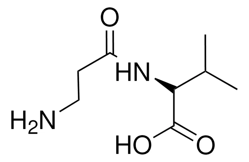 Sigma-Aldrich BETA-ALANYL-L-VALINE,AldrichCPR