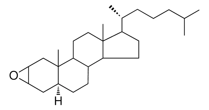 Sigma-Aldrich 2-BETA,3-BETA-EPOXY-5-ALPHA-CHOLESTANE,AldrichCPR