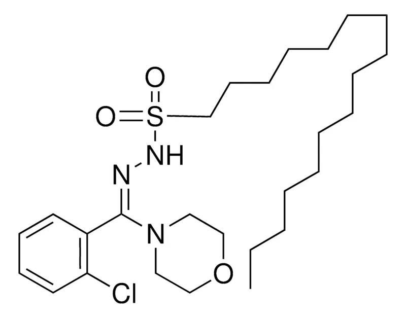 Sigma-Aldrich 1-HEXADECANESULFONIC ACID (2-CHLORO-ALPHA-MORPHOLINOBENZYLIDENE)HYDRAZIDE,AldrichCPR
