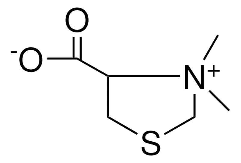 Sigma-Aldrich 4-CARBOXY--3,3-DIMETHYLTHIAZOLIDINIUM HYDROXIDE, INNER SALT,AldrichCPR