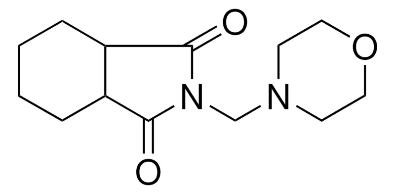 Sigma-Aldrich 2-MORPHOLIN-4-YLMETHYL-HEXAHYDRO-ISOINDOLE-1,3-DIONE,AldrichCPR