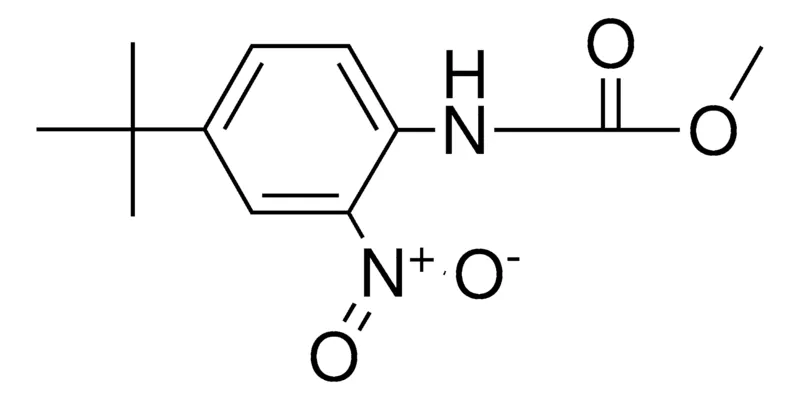 Sigma-Aldrich (4-TERT-BUTYL-2-NITRO-PHENYL)-CARBAMIC ACID METHYL ESTER,AldrichCPR