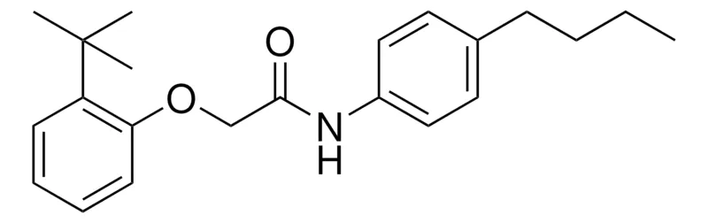 Sigma-Aldrich 2-(2-TERT-BUTYL-PHENOXY)-N-(4-BUTYL-PHENYL)-ACETAMIDE,AldrichCPR