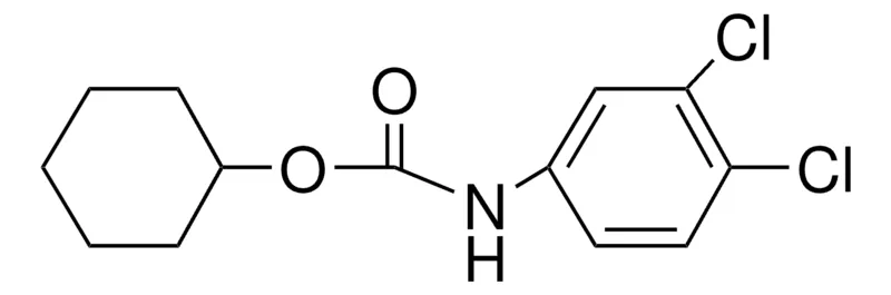 Sigma-Aldrich CYCLOHEXYL N-(3,4-DICHLOROPHENYL)CARBAMATE,AldrichCPR