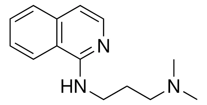 Sigma-Aldrich N(1)-(1-ISOQUINOLINYL)-N(3),N(3)-DIMETHYL-1,3-PROPANEDIAMINE,AldrichCPR