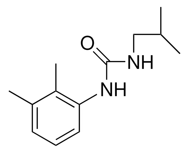 Sigma-Aldrich 1-ISOBUTYL-3-(2,3-XYLYL)UREA,AldrichCPR
