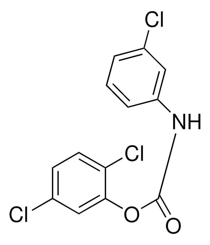 Sigma-Aldrich 2,5-DICHLOROPHENYL N-(3-CHLOROPHENYL)CARBAMATE,AldrichCPR