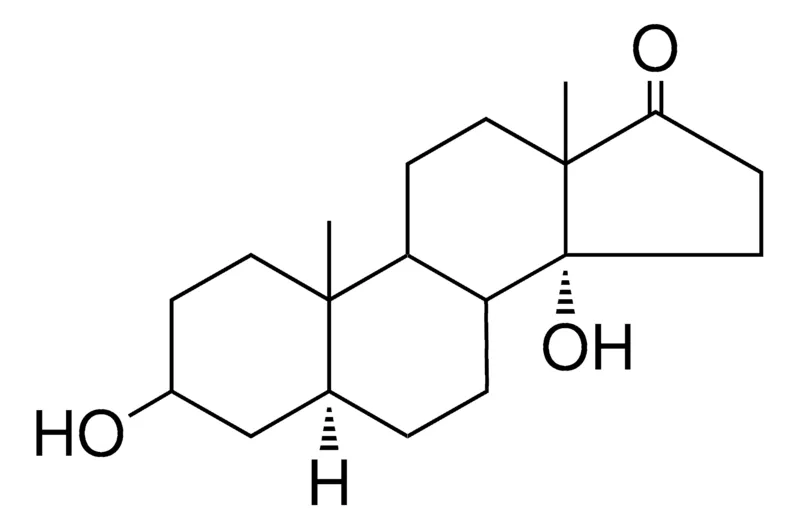 Sigma-Aldrich 3-BETA,14-ALPHA-DIHYDROXY-5-ALPHA-ANDROSTAN-17-ONE,AldrichCPR