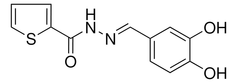 Sigma-Aldrich N'-(3,4-DIHYDROXYBENZYLIDENE)-2-THIOPHENECARBOHYDRAZIDE，AldrichCPR