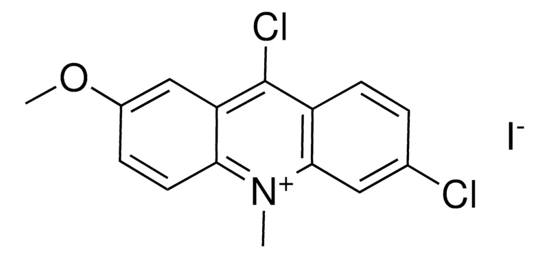 Sigma-Aldrich 6,9-DICHLORO-2-METHOXY-N-METHYLACRIDINIUM IODIDE,AldrichCPR
