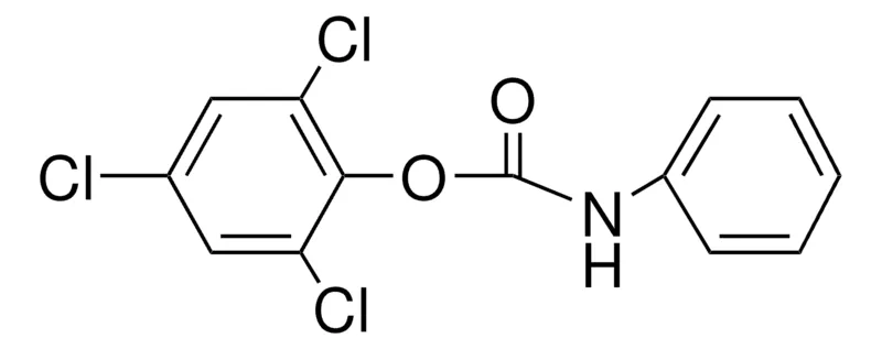 Sigma-Aldrich 2,4,6-TRICHLOROPHENYL N-PHENYLCARBAMATE,AldrichCPR
