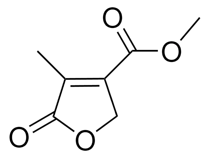 Sigma-Aldrich METHYL 4-METHYL-5-OXO-2,5-DIHYDRO-3-FURANCARBOXYLATE,AldrichCPR