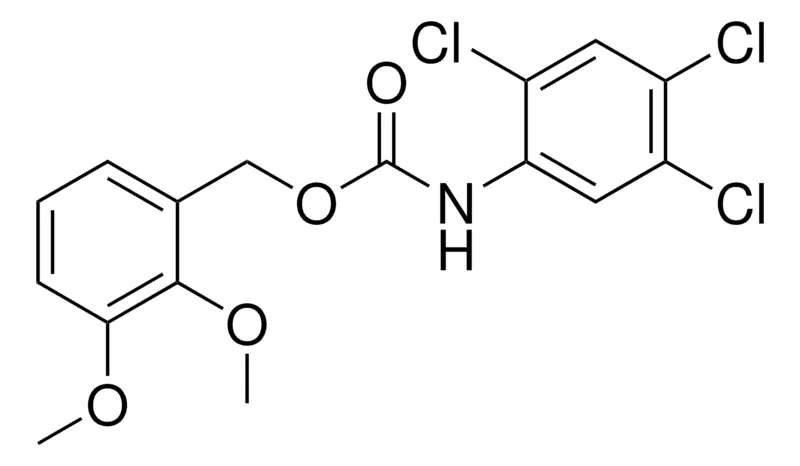 Sigma-Aldrich 2,3-DIMETHOXYBENZYL N-(2,4,5-TRICHLOROPHENYL)CARBAMATE,AldrichCPR
