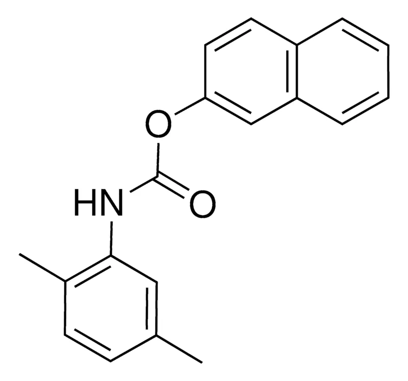 Sigma-Aldrich 2-NAPHTHYL N-(2,5-XYLYL)CARBAMATE，AldrichCPR
