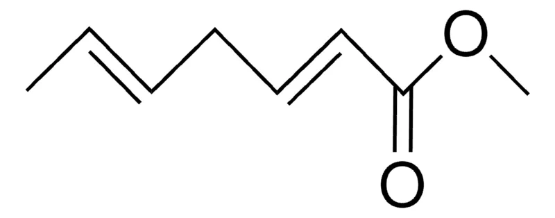 Sigma-Aldrich METHYL TRANS,CIS-2,5-HEPTADIENOATE,AldrichCPR