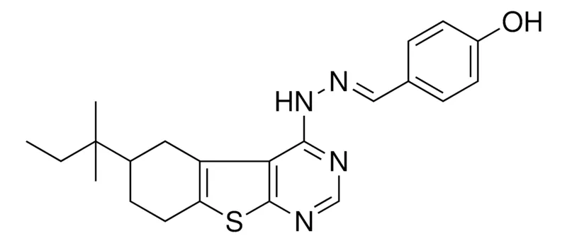 Sigma-Aldrich 4-HYDROXYBENZALDEHYDE (6-TERT-PENTYL-5,6,7,8-TETRAHYDRO[1]BENZOTHIENO[2,3-D]PYRIMIDIN-4-YL)HYDRAZONE，AldrichCPR