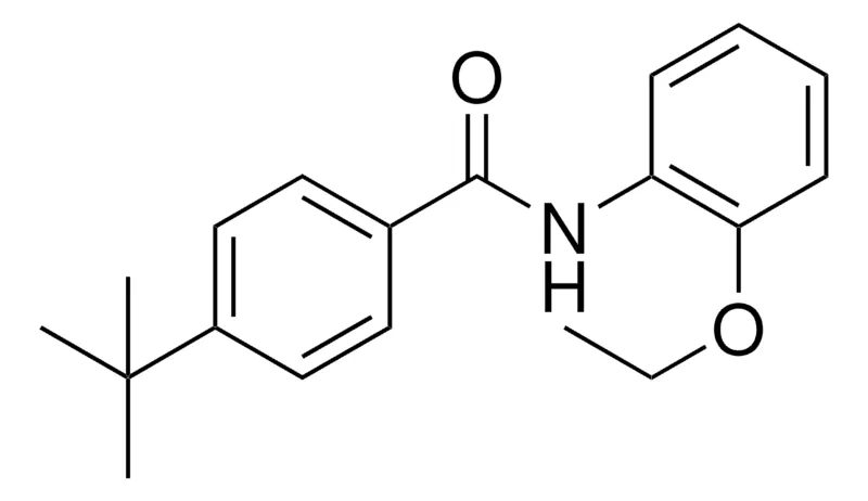 Sigma-Aldrich 4-TERT-BUTYL-N-(2-ETHOXYPHENYL)BENZAMIDE,AldrichCPR