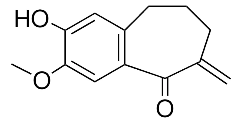 Sigma-Aldrich 2-HYDROXY-3-METHOXY-6-METHYLENE-6,7,8,9-TETRAHYDRO-BENZOCYCLOHEPTEN-5-ONE,AldrichCPR