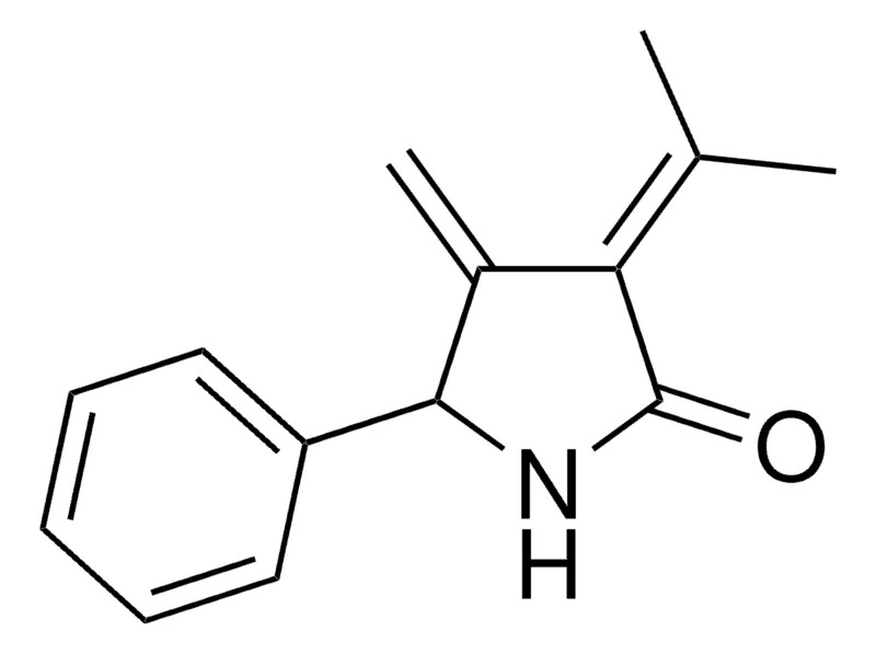Sigma-Aldrich 4-METHYLENE-3-(1-METHYLETHYLIDENE)-5-PHENYL-2-PYRROLIDINONE，AldrichCPR