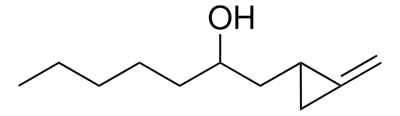 Sigma-Aldrich 1-(2-METHYLENE-CYCLOPROPYL)-HEPTAN-2-OL,AldrichCPR