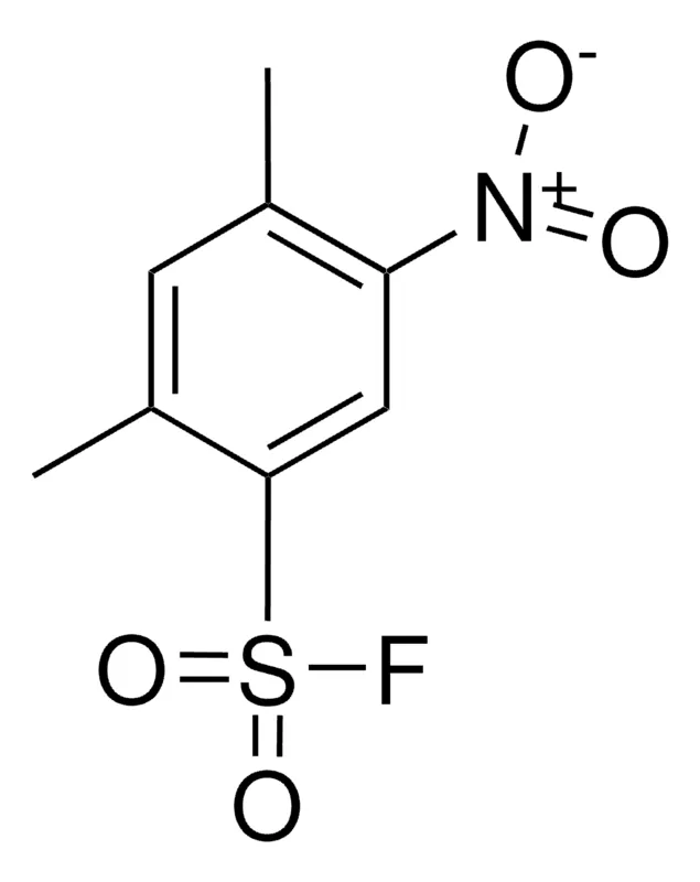 Sigma-Aldrich 2,4-DIMETHYL-5-NITROBENZENESULFONYL FLUORIDE，AldrichCPR