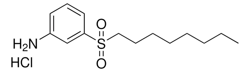Sigma-Aldrich 3-(OCTYLSULFONYL)ANILINE HYDROCHLORIDE,AldrichCPR