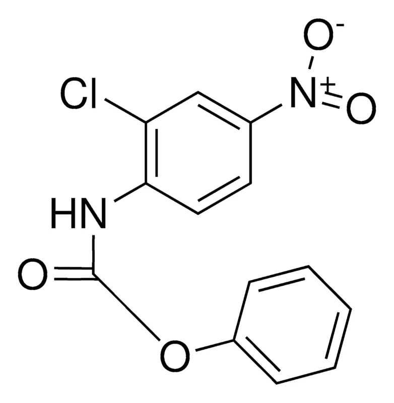 Sigma-Aldrich PHENYL N-(2-CHLORO-4-NITROPHENYL)CARBAMATE,AldrichCPR