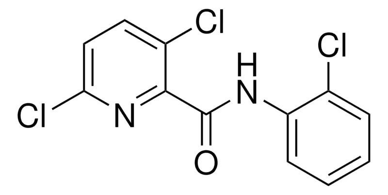 Sigma-Aldrich 3,6-DICHLORO-PYRIDINE-2-CARBOXYLIC ACID (2-CHLORO-PHENYL)-AMIDE，AldrichCPR