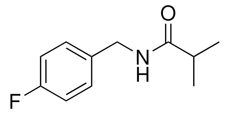 Sigma-Aldrich N-(4-FLUORO-BENZYL)-ISOBUTYRAMIDE,AldrichCPR