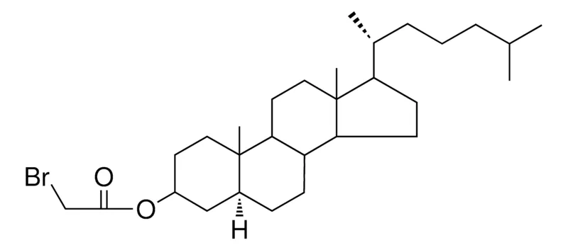 Sigma-Aldrich 5-ALPHA-CHOLESTAN-3-BETA-YL BROMOACETATE，AldrichCPR