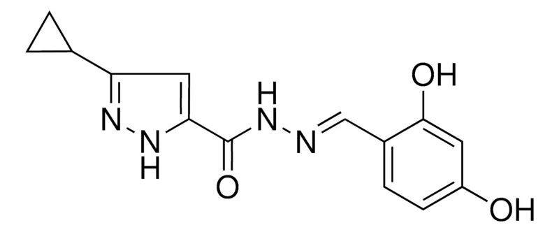 Sigma-Aldrich 5-CYCLOPROPYL-2H-PYRAZOLE-3-CARBOXYLIC ACID (2,4-DIHYDROXY-BENZYLIDENE)HYDRAZIDE,AldrichCPR