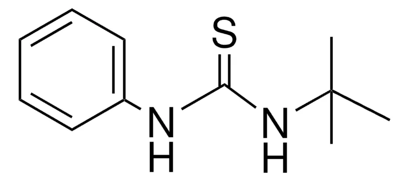 Sigma-Aldrich 1-TERT-BUTYL-3-PHENYL-THIOUREA,AldrichCPR