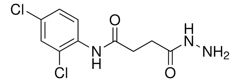 Sigma-Aldrich N-(2,4-DICHLOROPHENYL)-4-HYDRAZINO-4-OXOBUTANAMIDE，AldrichCPR