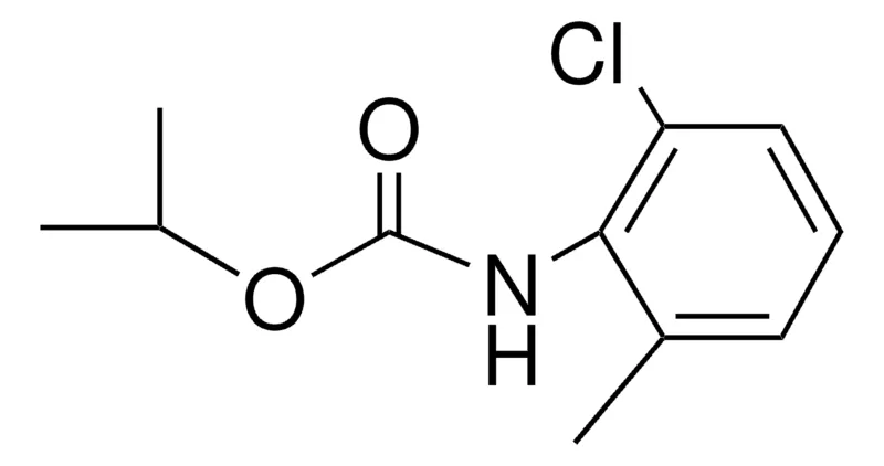 Sigma-Aldrich ISOPROPYL N-(2-CHLORO-6-METHYLPHENYL)CARBAMATE,AldrichCPR