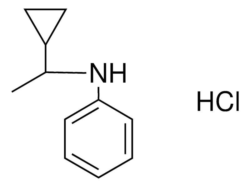 Sigma-Aldrich (1-CYCLOPROPYL-ETHYL)-PHENYL-AMINE, HYDROCHLORIDE,AldrichCPR