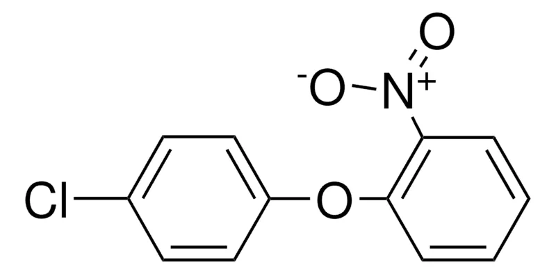 Sigma-Aldrich 4-CHLOROPHENYL 2-NITROPHENYL ETHER,AldrichCPR