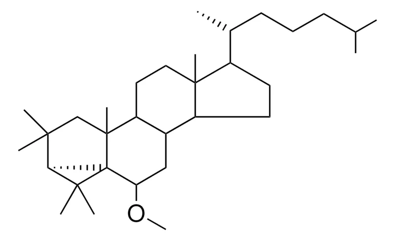 Sigma-Aldrich 2,2,4,4-TETRAMETHYL-3-ALPHA,5-CYCLO-5-ALPHA-CHOLESTAN-6-BETA-YL METHYL ETHER,AldrichCPR