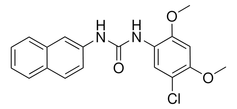 Sigma-Aldrich N-(5-CHLORO-2,4-DIMETHOXYPHENYL)-N'-(2-NAPHTHYL)UREA,AldrichCPR